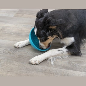 Trixie Lick'n'snack Hundefressnapf Silikon