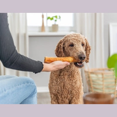 Trixie Collagen Denta Fun Roll Mit Huhn