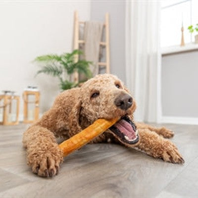 Trixie Collagen Denta Fun Roll Mit Huhn