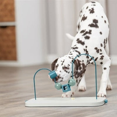Trixie Hund Aktivität Fähigkeiten Schleife Kunststoff / Metall