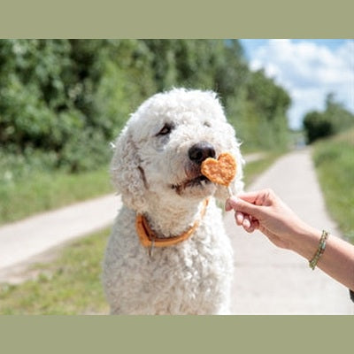 Trixie Premio Lollipop Mit Huhn Und Reis
