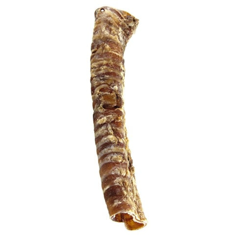 Petsnack-Luftröhre