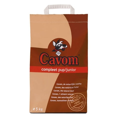 Cavom Vollständiger Welpe/Junge